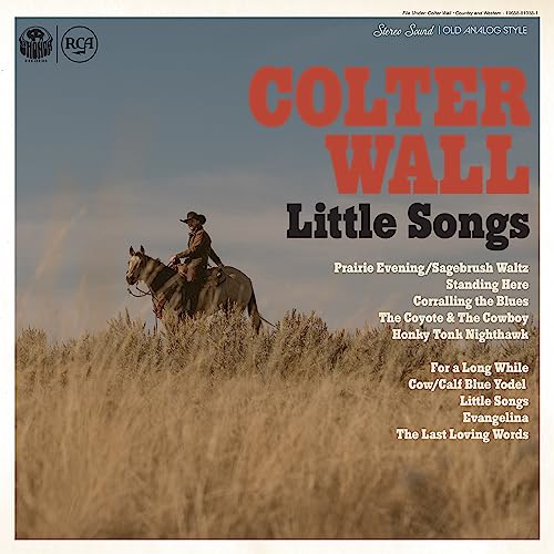 COLTER WALL - LITTLE SONGS - Vinyl Record VINYL LONGPLAY 33 1 image 1