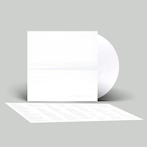 Foo Fighters - But Here We Are - Vinyl Record 12" Album Coloured Vinyl image 1