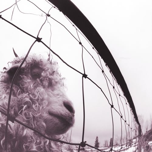 Pearl Jam - Vs: 30th Anniversary Edition 2LP  RELEASE DATE 17/11/23 (TH image 1