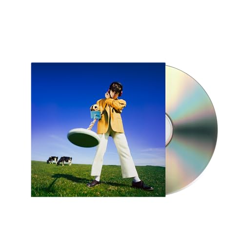 Declan McKenna - WHAT HAPPENED TO THE BEACH? - CD LONGPLAY image 2