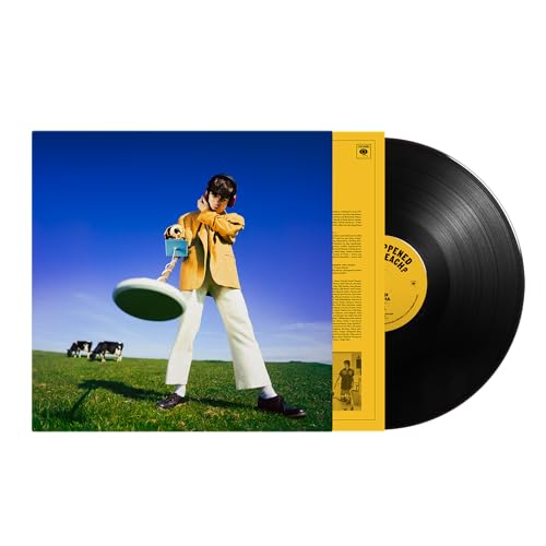 Declan McKenna - WHAT HAPPENED TO THE BEACH? - Vinyl Record VINYL LONGP image 1