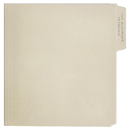 REX ORANGE COUNTY - ALEXANDER TECHNIQUE - Vinyl Record VINYL LONGPLAY 3 image 2