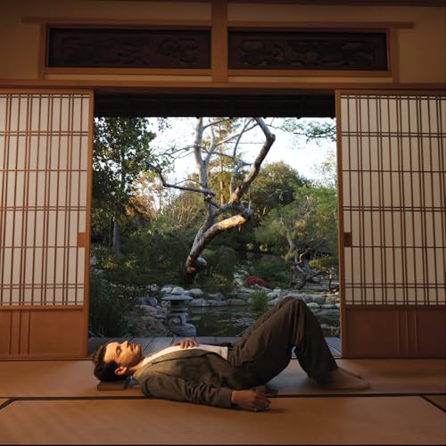 REX ORANGE COUNTY - ALEXANDER TECHNIQUE - CD LONGPLAY image 3