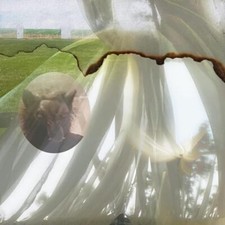 CREDIT ELECTRIC - SIX - CD image 1