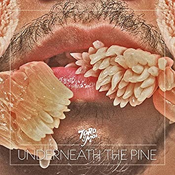 Toro Y Moi - Underneath The Pine - Vinyl Record image 1