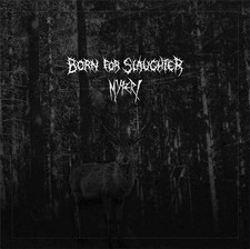 BORN FOR SLAUGHTER/M - SPLIT 7" - Vinyl Record 7EP image 1