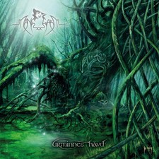 MANEGARM - URMINNES HÄVD - THE FOREST SESSIONS (MC) - Cassette