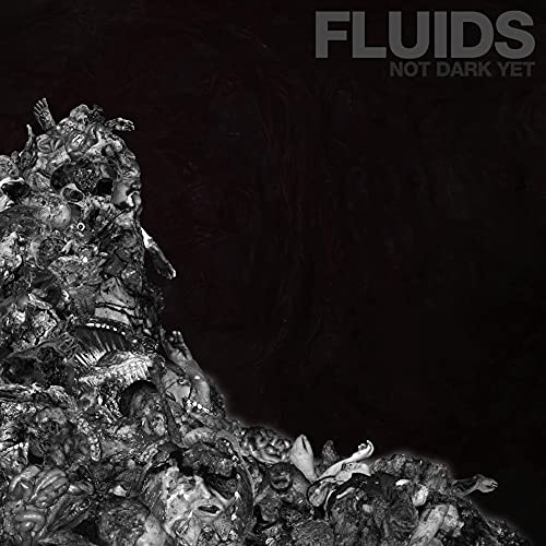 FLUIDS - NOT DARK YET - CD image 1