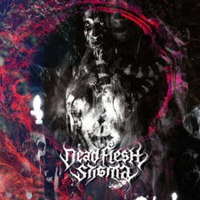 DEAD FLESH STIGMA (V - NECROCOSMIC DEATH RITUAL - CD image 1