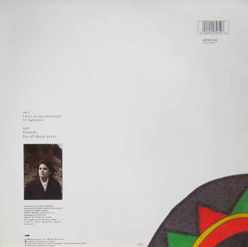 Tanita Tikaram - Twist In My Sobriety - Used Vinyl Record 7" image 8