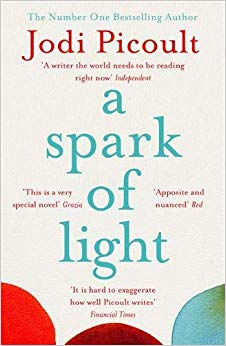 A Spark of Light : THE NUMBER ONE SUNDAY TIMES BESTSELLER