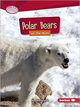 Polar Bears on the Hunt