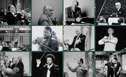 Wiener Philharmoniker: Deluxe Edition - 20CD image 4