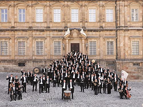 BAMBERGER SYMPHONY - BAMBERGER SYMPHONIKER, JAKUB HRUSA - HANS ROTT: SY image 2