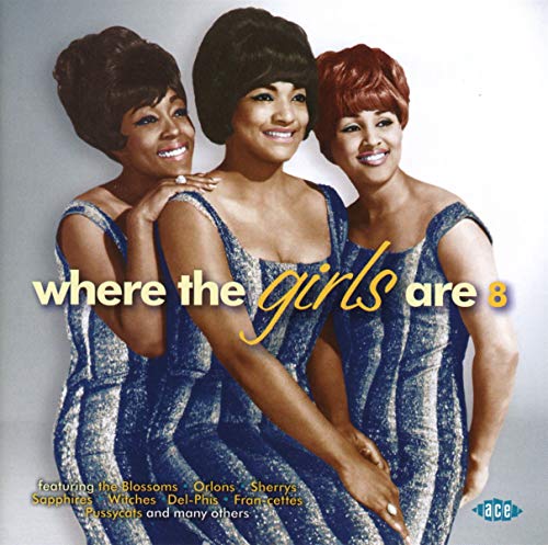 VARIOUS ARTISTS - WHERE THE GIRLS ARE 8 - CD image 1