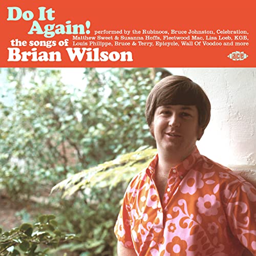 BRIAN.=TRIB= WILSON - Do It Again! The Songs Of Brian Wilson - CD image 1