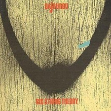 BAJOUROU - BIG STRING THEORY - CD image 2