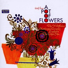 VARIOUS ARTISTS - WITH LOVE A POT OF FLOWERS - CD image 2