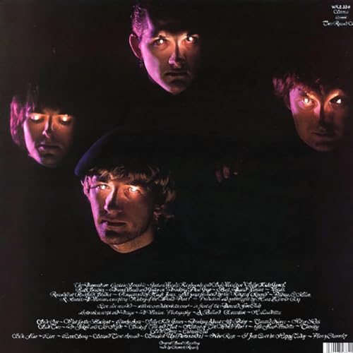 DAMNED - BLACK ALBUM (2LP) - Vinyl Record DLP image 2