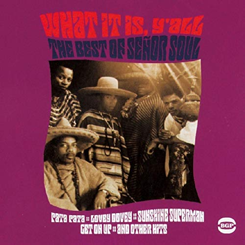 SENOR SOUL - WHAT IT IS, Y'ALL - THE BEST O - CD image 2