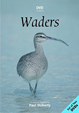 Waders