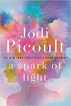 A Spark of Light : A Novel