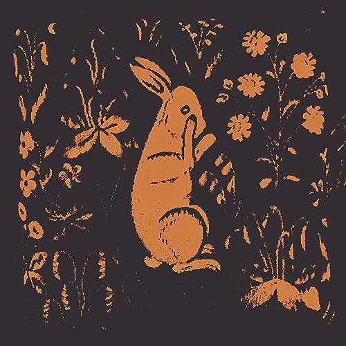 SADNESS - RABBIT ALBUM - Vinyl Record image 1
