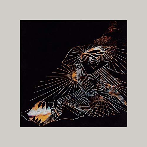 GRID - DECOMPOSING FORCE - Vinyl Record image 1