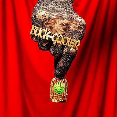 BUCK GOOTER - Head In A Bird Cage - Vinyl Record image 1