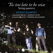 KITGUT QUARTET - TIS TOO LATE TO BE WISE - CD ALBUM image 1