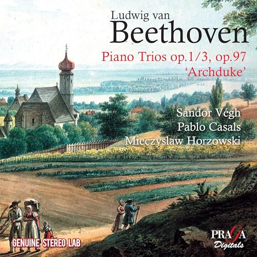 MIECZYSLAW HORSZOWSK - PIANO TRIOS OP.1 / 3, OP.97 - CD ALBUM image 1