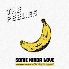 FEELIES - SOME KINDA LOVE: PERFORMING THE MUSIC OF THE V - CD image 1