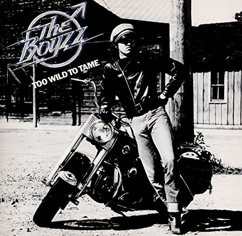 BOYZZ - TOO WILD TO TAME - CD image 1