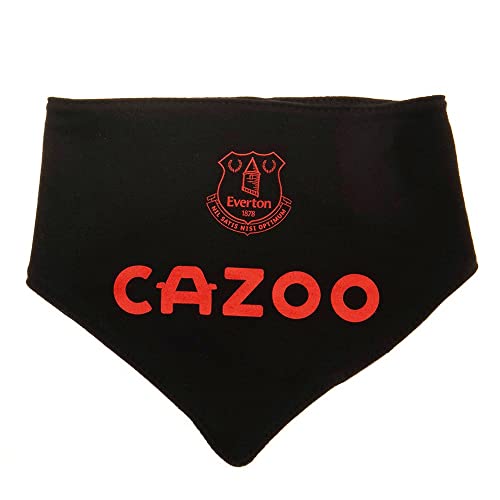 Everton FC - 2 Pack Bibs - Clothing - B - Main area approx 19cm x 14cm image 4
