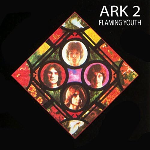 FLAMING YOUTH - ARK 2 - CD image 1