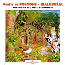 Various Artists - Forets De Pologne - Bialowieja - CD image 1