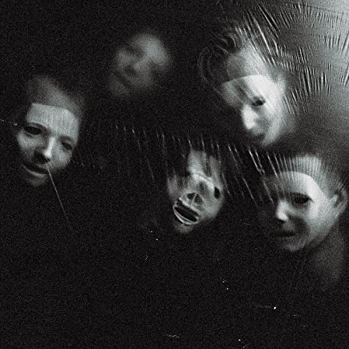 DITZ - The Great Regression LP Eco-Mix coloured vinyl  RELEASE DATE 01/0 image 1