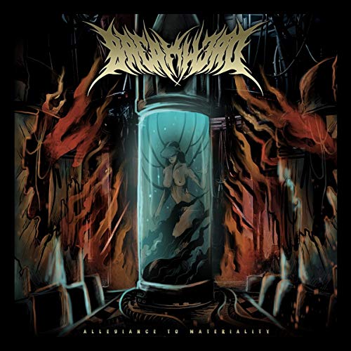 DISAPPEARANCE OF MATERIALITY - CD image 1