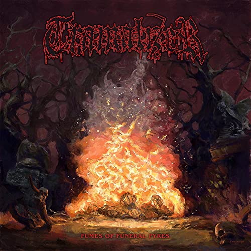 TRAMALIZER - FUMES OF FUNERAL PYRES (LIMITED BLACK VINYL) - Vinyl Recor image 1