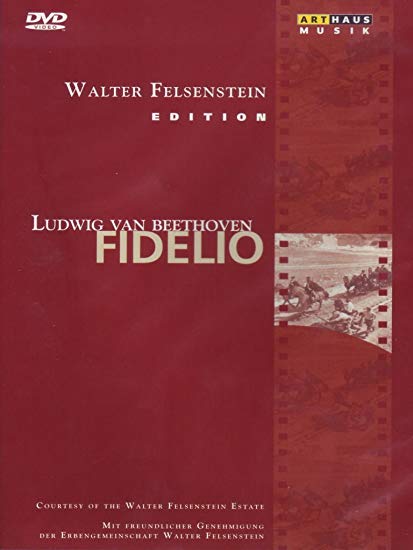 VIENNA SYMPHONY / CH - FIDELIO - DVD image 1
