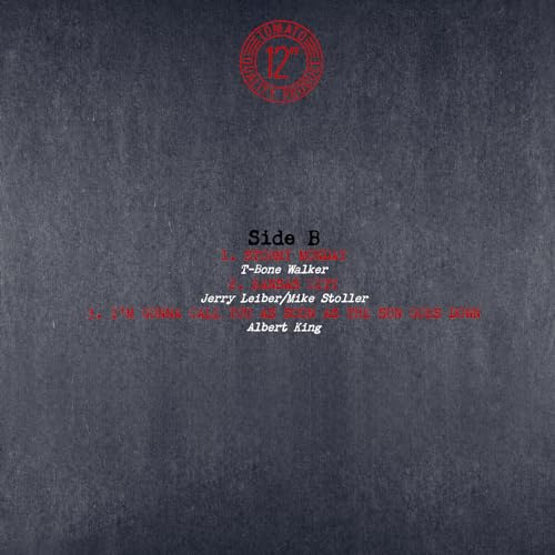 ALBERT KING - ALBERT LIVE (TOMATO RECORDS) (BLACK&WHITE VINYL 2LP) - Vi image 7