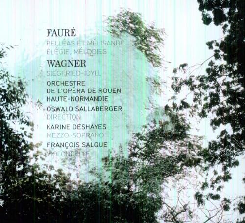 Francois Salque - Faure: Pelléas Et Mélisande/Élégie/Mélodies/... - image 1
