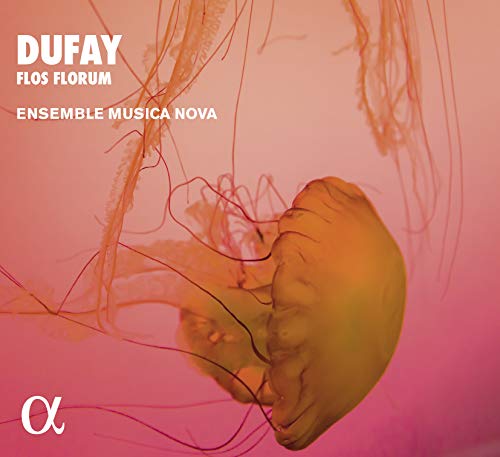 Ensemble Musica Nova - Dufay: Flos Florum - CD image 1
