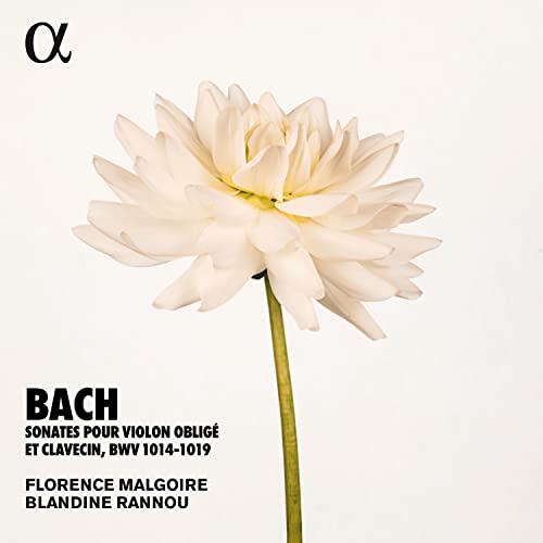 BLANDINE RANNOU - SONATES POUR VIOLON OBLIGE ET - CD image 1