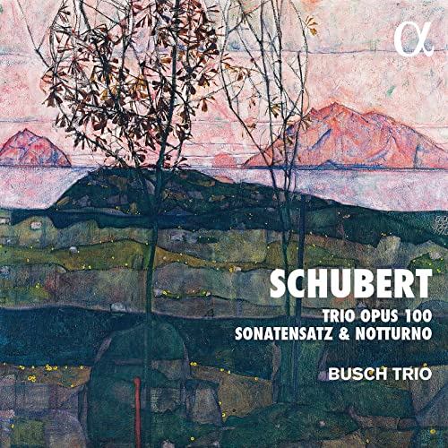 BUSCH TRIO - SCHUBERT TRIO OPUS 100  SONAT - CD image 1