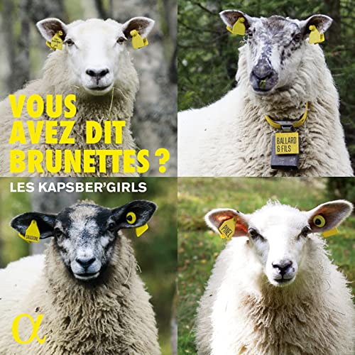 LES KAPSBERGIRLS - VOUS AVEZ DIT BRUNETTES? - CD image 1