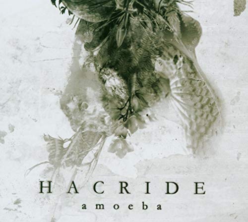 Hacride - Amoeba - CD image 1