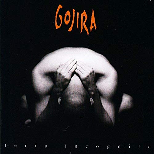 Gojira - Terra Incognita - Vinyl Record image 1