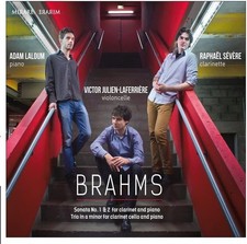 LALOUM JULIEN-LAFERR - CLARINET SONATAS CLARINET TRIO - CD ALBUM image 1