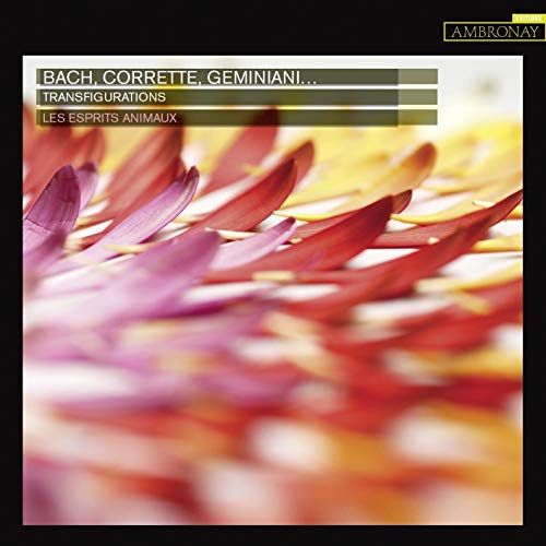 LES ESPRITS ANIMAUX - TRANSFIGURATIONS - CD image 1